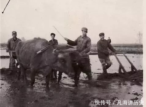  #下乡#知青下乡老照片，记录了一个波澜壮阔的年代