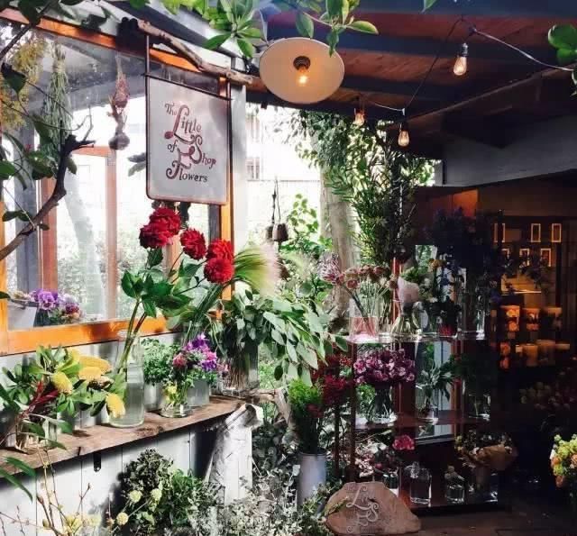  【荒度】我想开一间小店，从此荒度余生