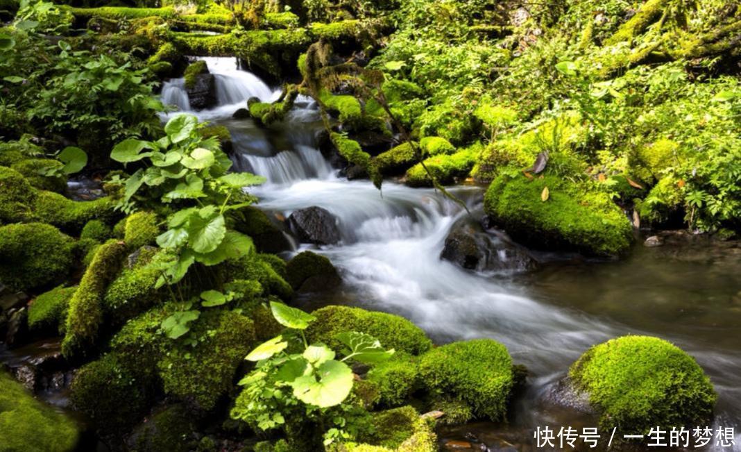  知晓@长江最大支流是汉江，汉江最大支流在哪里？来堵河源看看就