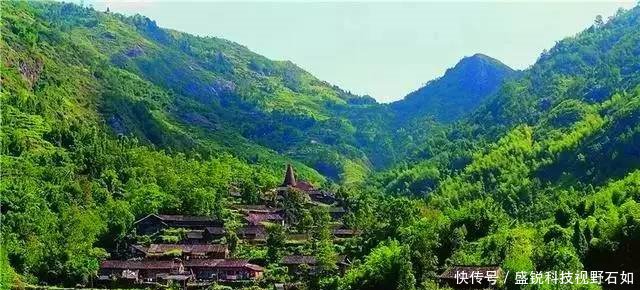 浙江、福建交界，有个300年秘境古村，仙人掌都长成了参天大树
