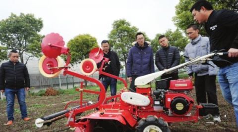  日子：未来在农村，日子越过越好的，十有八九是以下2类人群