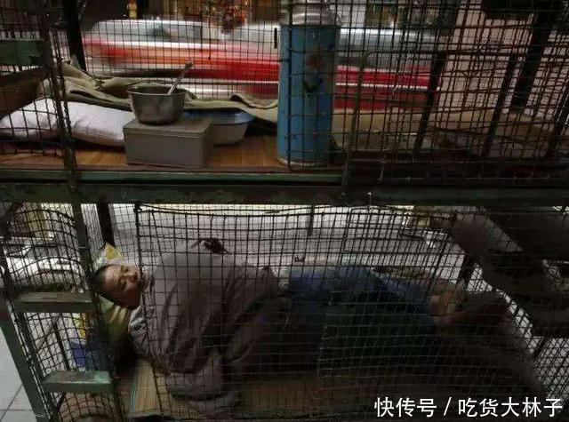 没见到香港2平米“鸽子笼”房之前，你都不知道自己住的有多幸福