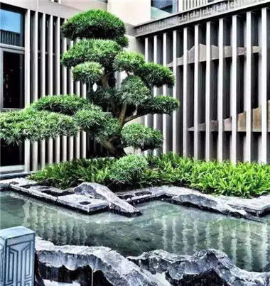  「景观石」庭院常见景观石的种类及运用