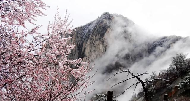 再长的飞花令，也无法超越《华山志》的奇思妙文