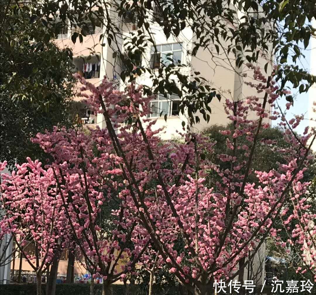 《厉害了我的国》观后感