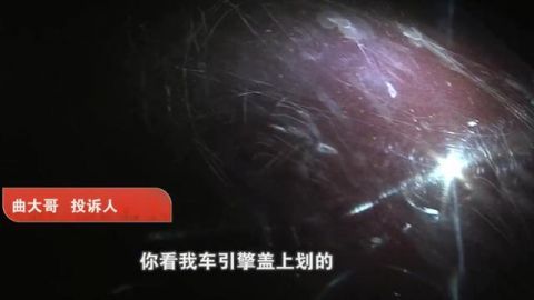 花猫|4个孩子爬车顶,轿车变“花猫”定损2万1,家长:赔你1000要么起诉