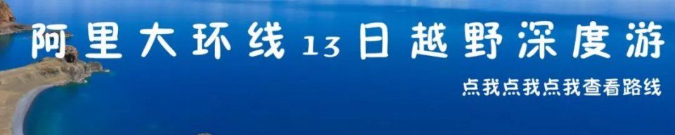 林青霞、朱茵、张曼玉......有一种美,叫风情万种