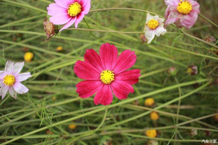 博越自驾游,网红打卡地 上河古村,一场美丽的邂逅