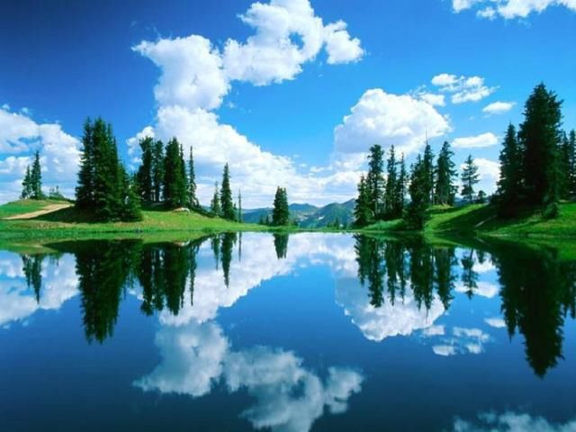 网络上的谣言多多 其实制作谣言的人连畜生都不如