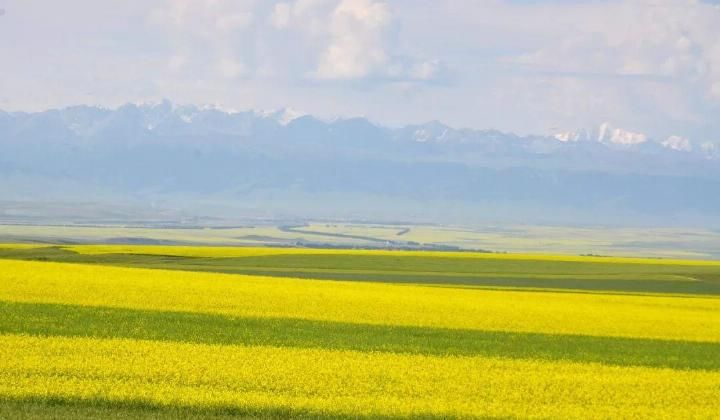 新疆旅行, 偶遇几个老师, 四女一男租车自驾同吃同住近一周