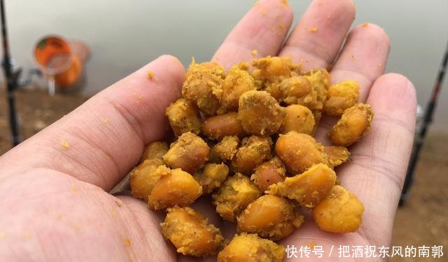  「少打一点窝料」窝量有多有少，打对最为重要！把握这4点，钓鱼打窝不头疼
