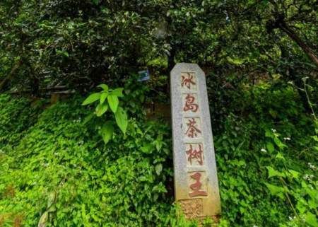  #名字#中国名字最长的县，字数长达15个，一口气念完算你厉害