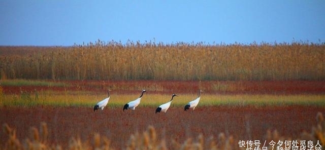 中国唯一没有山的城市! 最高海拔仅7米, 有些当地人一生没爬过山