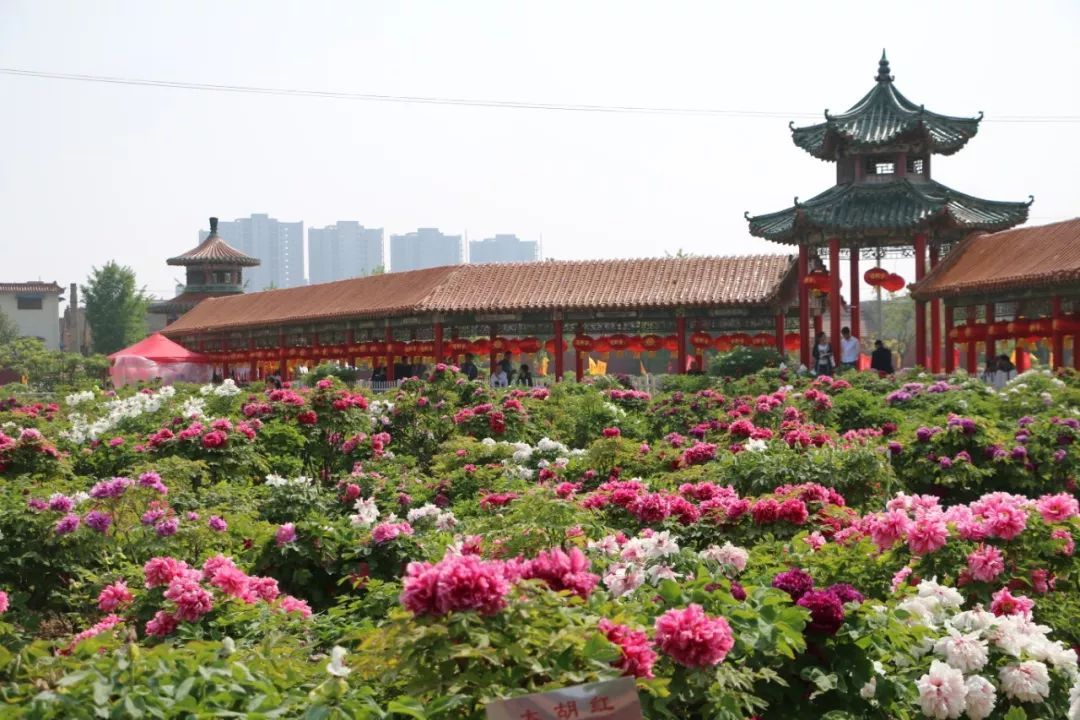  经济■山东不容小觑的一座城市，经济增速全省第一，未来有望晋