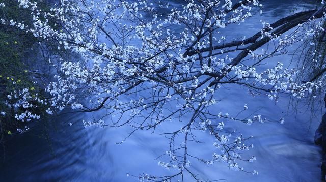 诗歌：与你擦肩而过