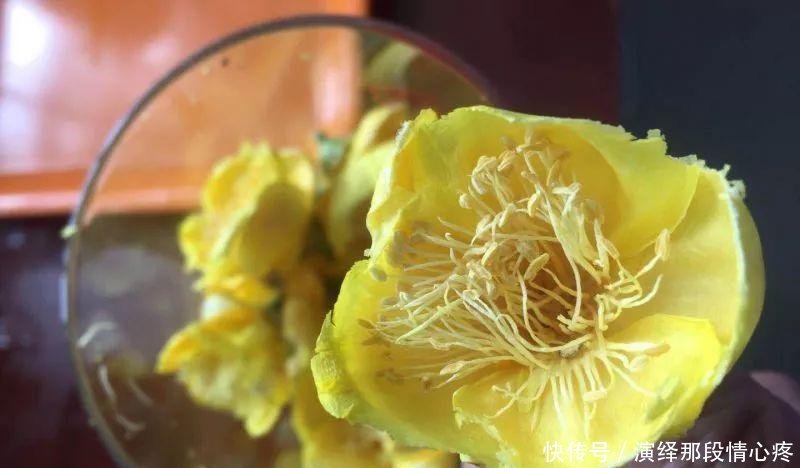  「李时珍」李时珍一辈子没找到的花,广西贫困户种它发大财