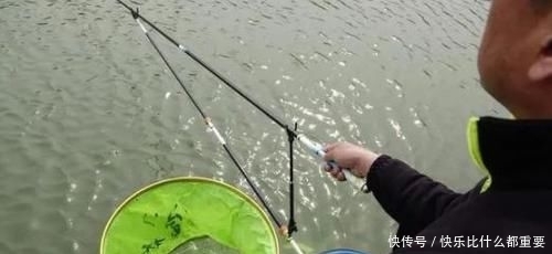  钓法：双钩钓法中，上钩中鱼和下钩中鱼的区别有哪些？是灵、还是顿？