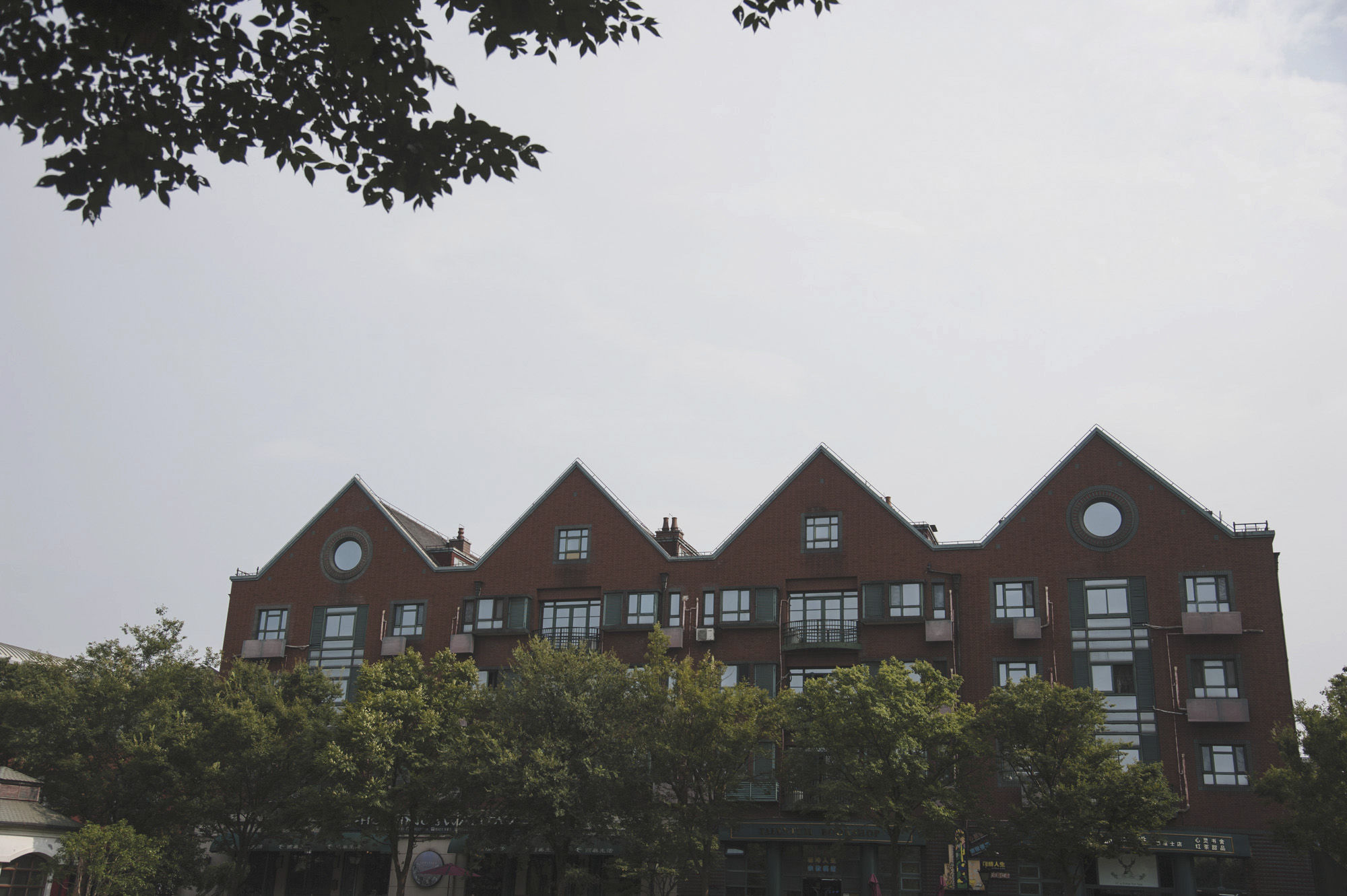 现实版泰囧上海自驾游,历经延误、爆胎、鳄鱼还有暴雨,湿身更撩