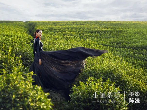 王凯亲体验“活色茶香”下午茶,爱上现代派中国茶