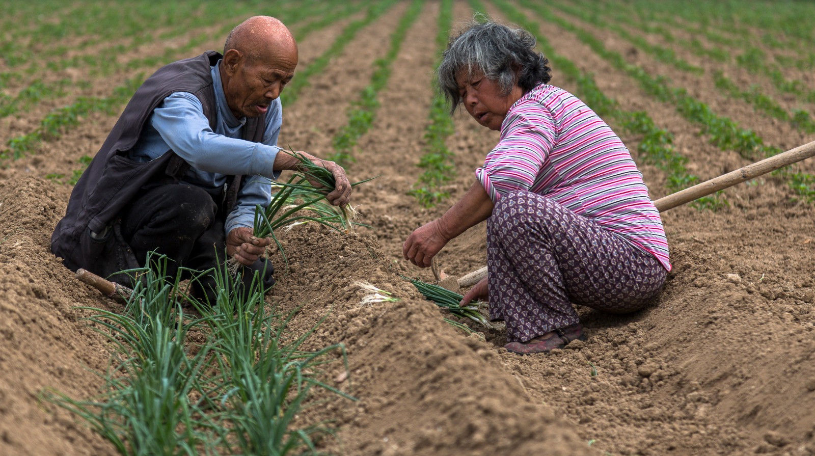  「元凶」过去农民只种地，没啥外债，如今一月大几千，却负债累