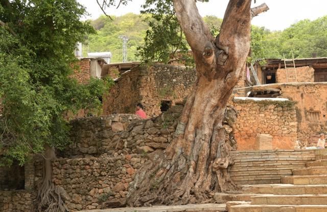 国内“最奢侈”村庄，用化石建房子，现成旅游景点吸引众多游客!