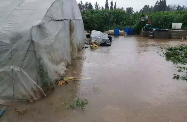 昨晚“利奇马”登录山东都干了什么？真的一天降了9500个大明湖吗