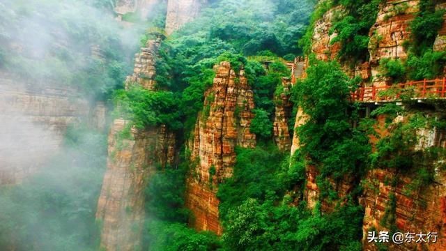  [太行]河北东太行绣线菊盛开，米白色花朵淡淡清香弥漫全山，令人痴醉