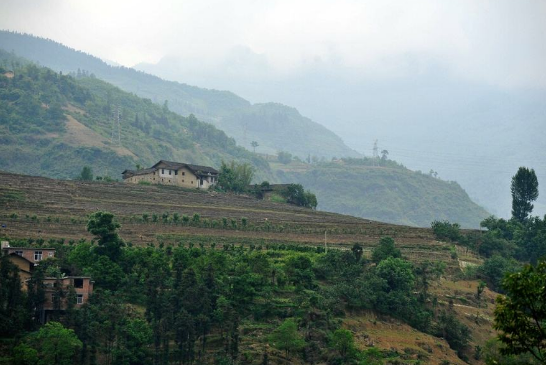 为什么现在很多农村老人，不愿意去城里生活？老农说出背后的原因