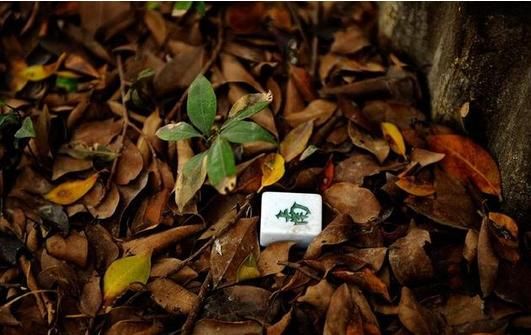 原来麻将都是这样制作的，大开眼界