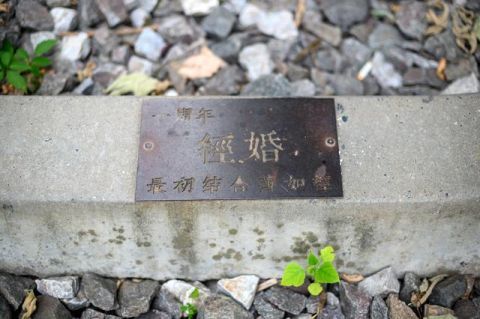  『合肥』安徽竟私藏了一条“中国版爱情隧道”，距离合肥40公里，不要门票