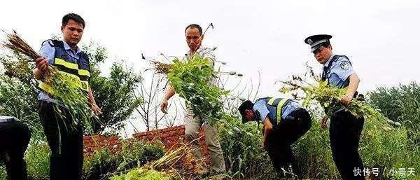 中国“最特殊”的一群农民, 每天24小时被人看守, 种的东西不愁卖