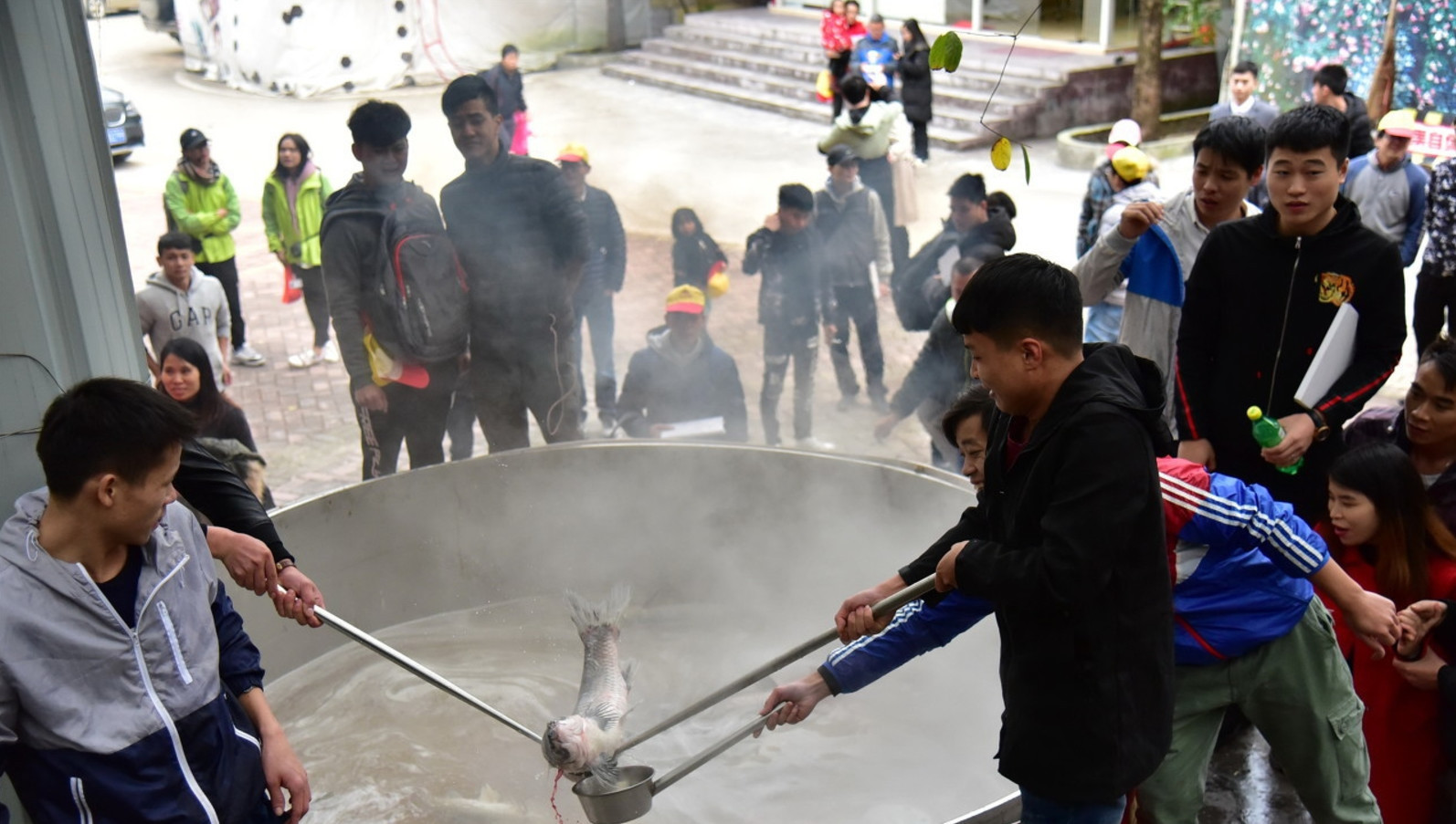 【盖后】奇闻景区鱼汤免费食用,游客们分分钟抢光,揭开盖后不淡定了