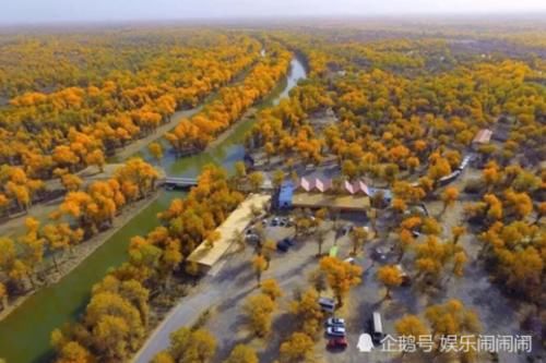  「我国」我国治理塔克拉玛干沙漠耗资数亿美元，种植的大量植物