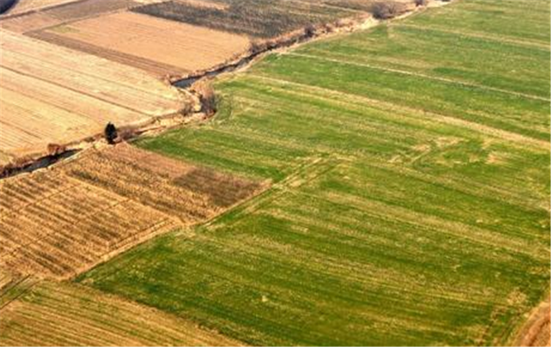  田时|农村承包地开始“归并”，其中有什么样的原则？
