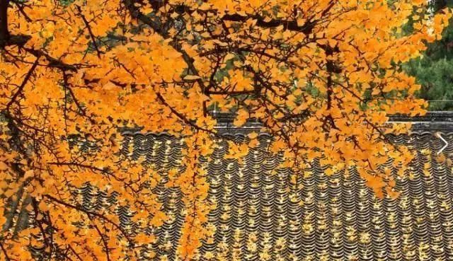 秋日里，山西20处绝美赏秋胜地美的像仙境