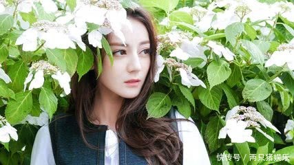 明星被诋毁的这些事！最过分的就是迪丽热巴的这件事了！手抽黑粉