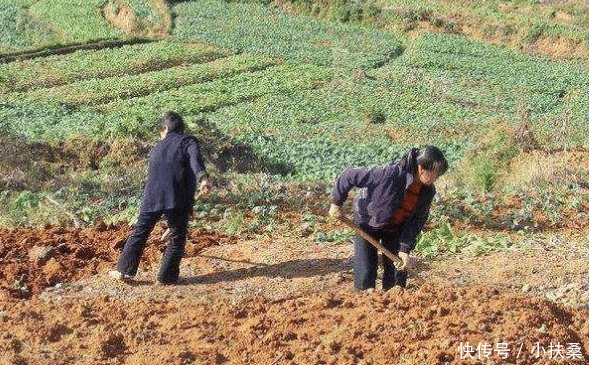 2019年农民永久退地每亩补多少钱? 4万还是10万? 需要啥条件?