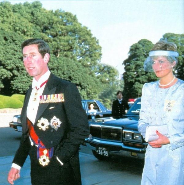 胸针迷戴胸针的戴安娜