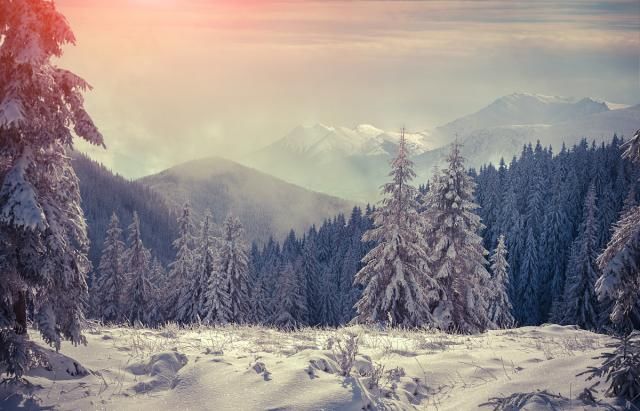 原创诗词:低吟浅唱——行香子五首