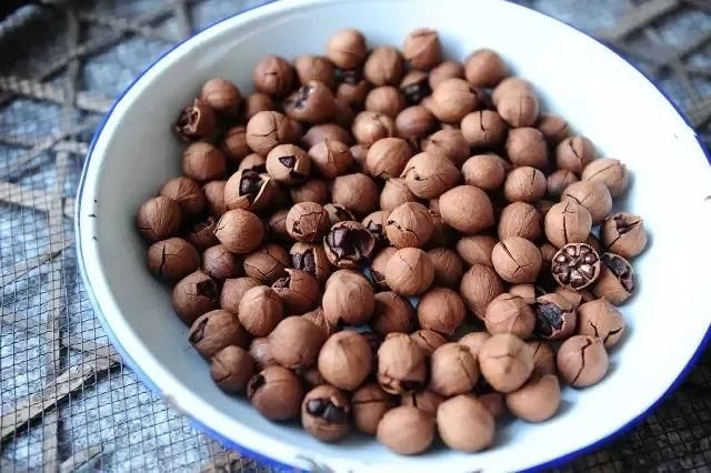 似梦徽州,总有一抹撩人的秋