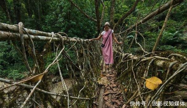 印度一座纯天然桥梁，用树根种出来的，500年来越走越牢固