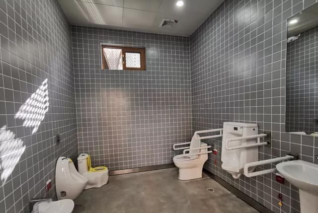 刷脸启动马桶、wifi全免费……中国诞生最美公厕