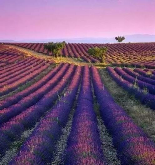 欧元再降，英镑暴跌，是时候去欧洲捡漏啦