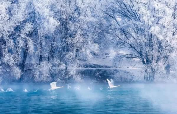 让人流连忘返的不止冬日里的美景，还有那一杯圣幕雪冰淇淋