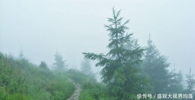 这个景区是河北省五大高峰之一，有200多个景点，可却不敢叫做山