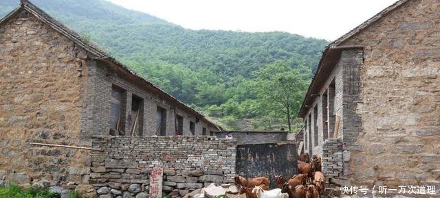 农民手中这“东西”能换15万元，专家不解，为什么都没人愿意换