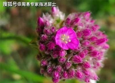  『商品』痣相算命： 少见商品，荣华富贵双全的好痣