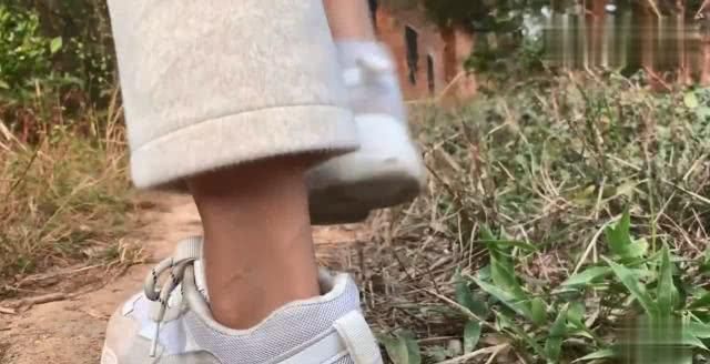  乡村■乡村家婆养了30只土鸡，去鸡棚捡生鸡蛋，想不到有意外的惊喜