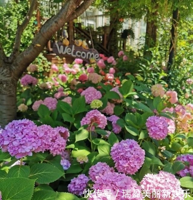  「平方」有了30平方的小院，能将日子过成了诗？简单而精致，优雅而从容！