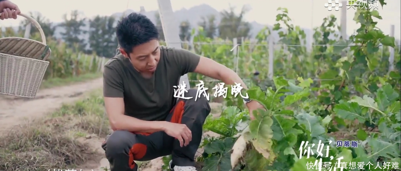 央视综艺你好生活